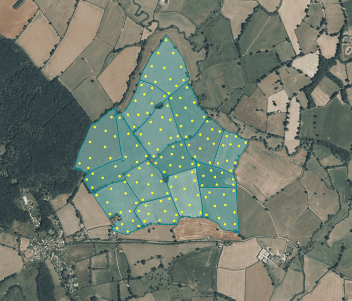 Soil Carbon Accounting: Detecting Change at Different Levels