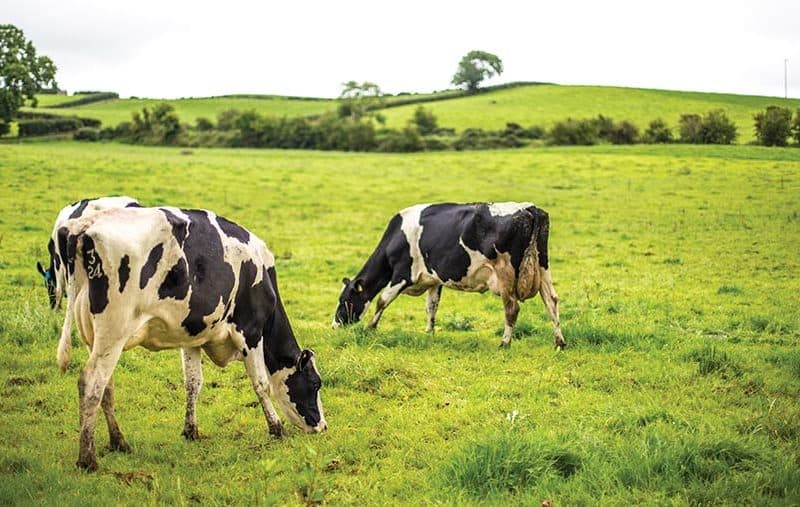 ArcZero: Project Shows How Farming Can Hit – or Better – Net Zero